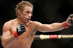 MMA: UFC Fight Night 26-Faber vs Alcantara