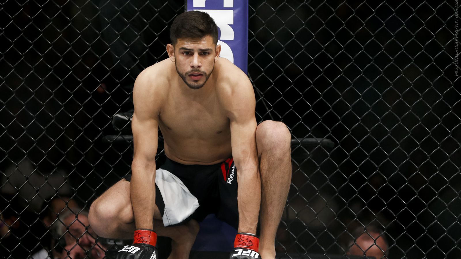 Rodriguez-actumma
