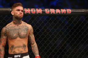 cody-garbrandt-octagon