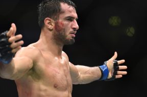 gegard-mousasi-ufc-2041