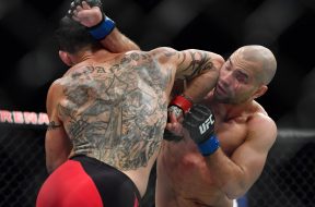 MMA: UFC Fight Night-Swanson vs Lobov