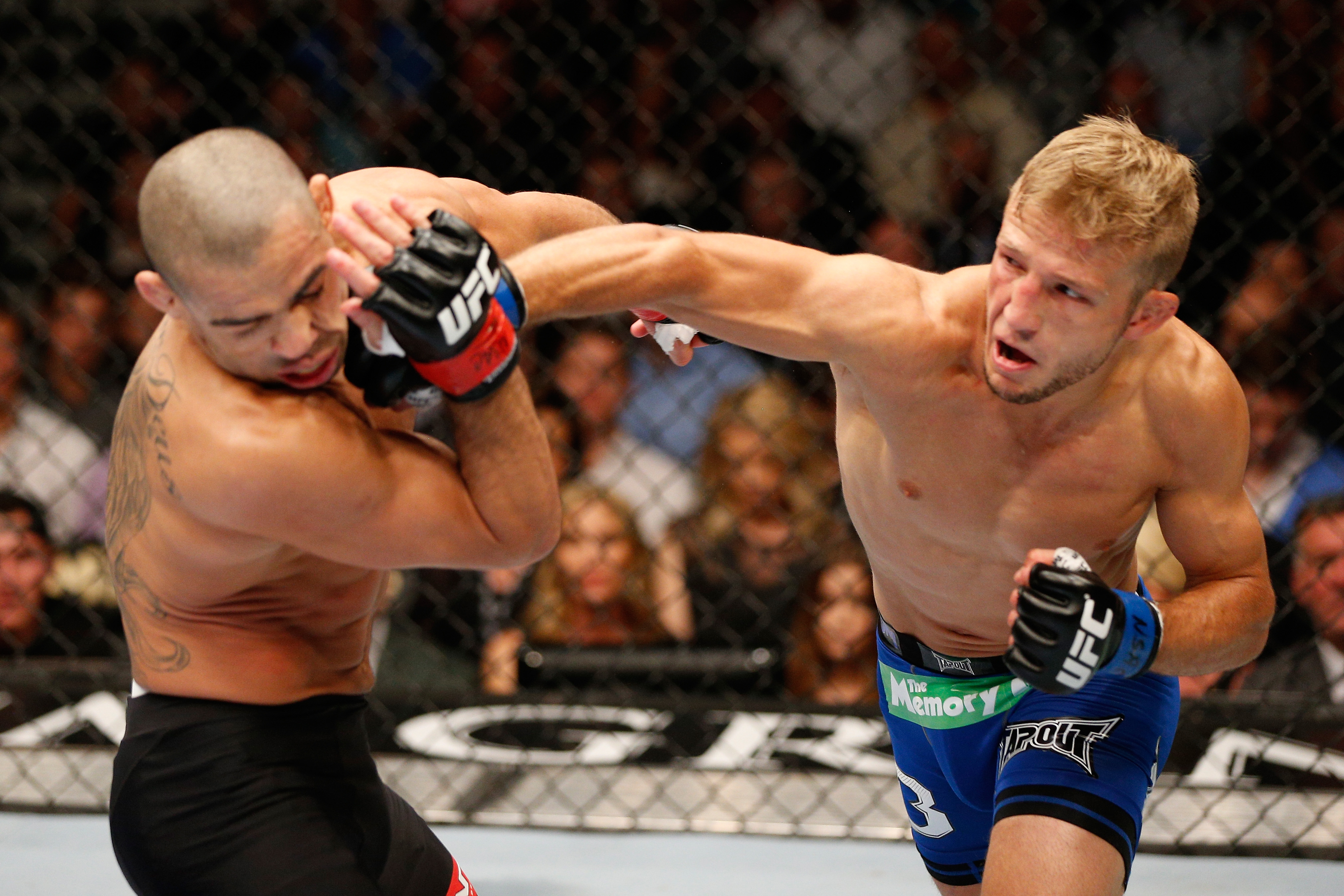 UFC 173: Barao v Dillashaw