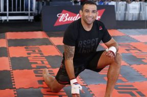 050_Fabricio_Werdum.0.0