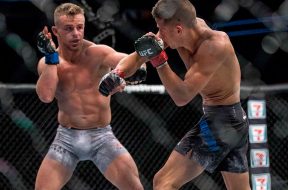 cody-stamann-ufc-216