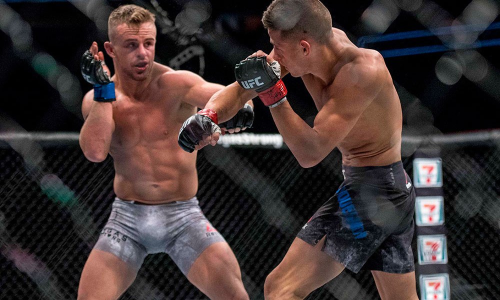 cody-stamann-ufc-216