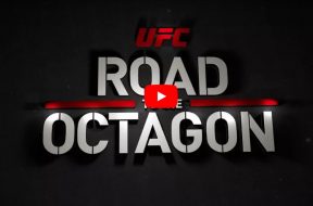 UFC road to the octogon