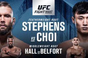 fight-night-stephens-choi