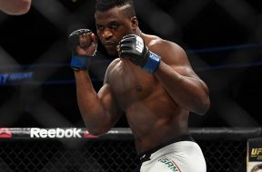 francis-ngannou