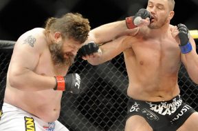 MMA: The Ultimate Fighter Finale-Nelson vs Mitrione