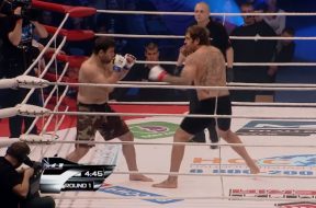 Aleksander Emelianenko vs. Magomed Malikov