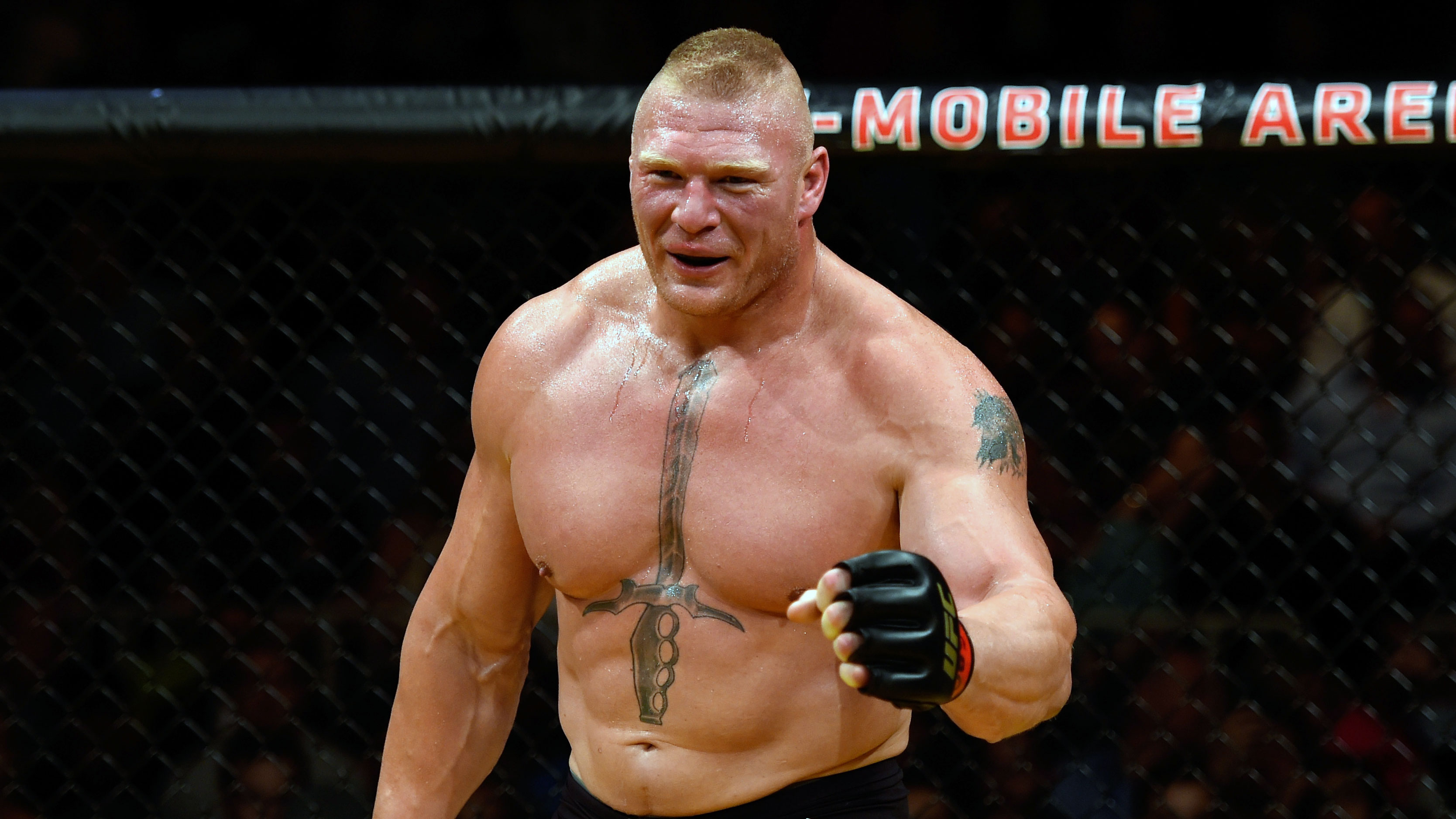 15 Minute Wwe Brock Lesnar Workout for Weight Loss