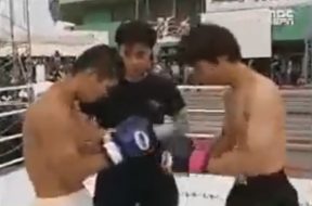 Taekwondo Muay Thai