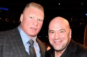 White-Lesnar