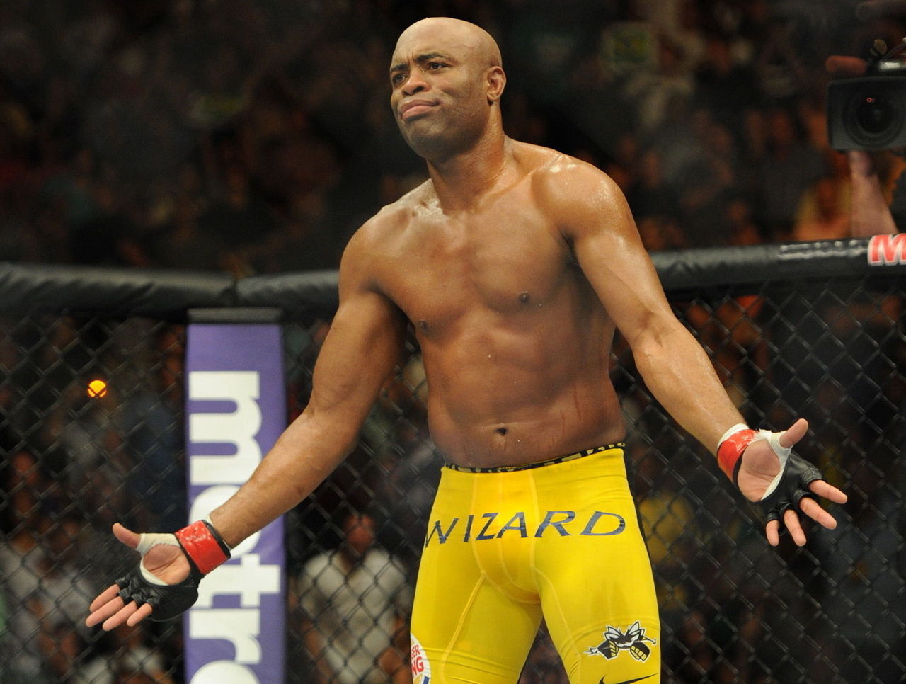 anderson silva