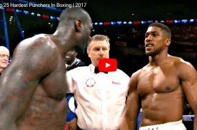 top25 punch boxe
