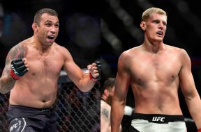 werdum-volkov