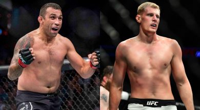 werdum-volkov