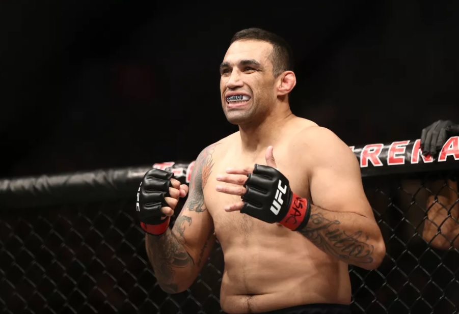 fabricio-werdum