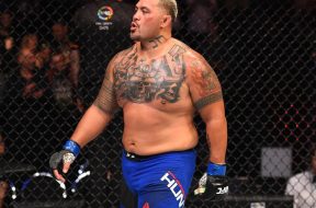 mark hunt