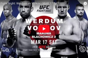 werdum-volkov