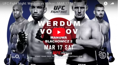werdum-volkov