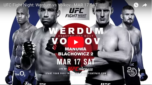 werdum-volkov