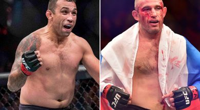 werdum-oleinik
