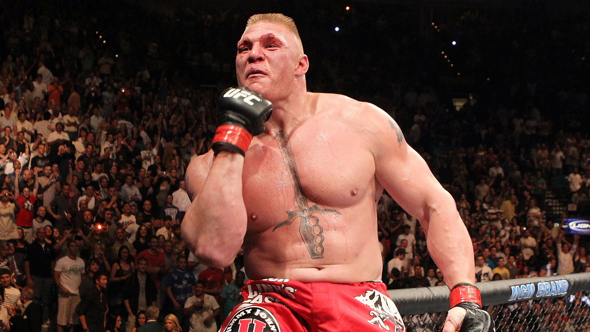 Brock-Lesnar