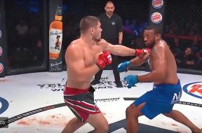 bellator 202