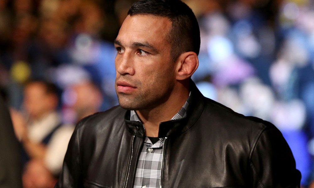 fabricio-werdum