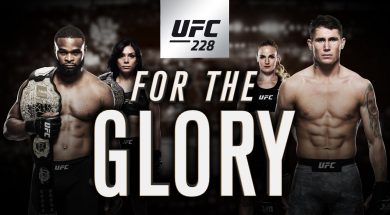 ufc-228