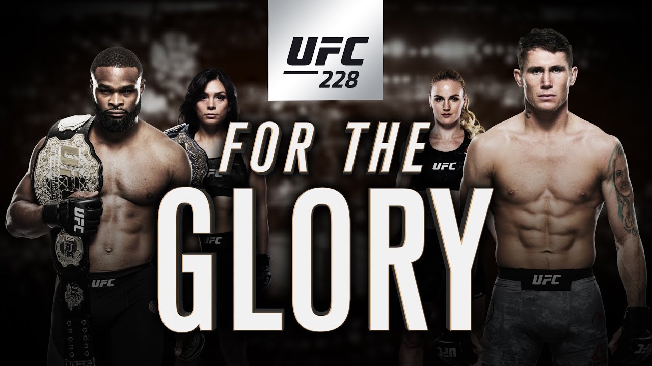 ufc-228