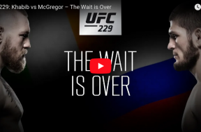 ufc-229-video