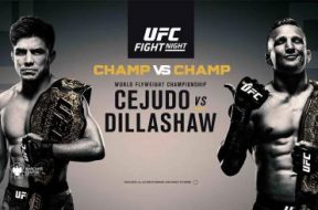 cejudo-dillashaw-ufc-fight-night-brooklyn