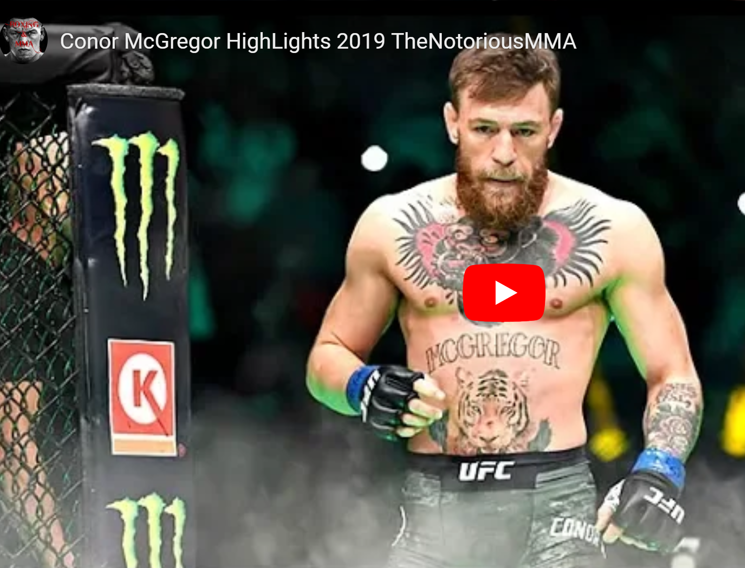 Une superbe vidéo de Conor McGregor : Combats/Training