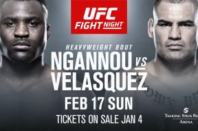 ufc-phoenix-ngannou-vs-velasquez-mma