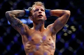 tj-dillashaw-actumma