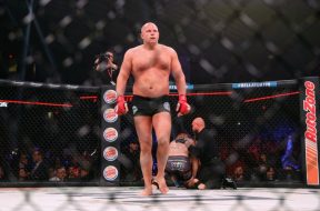 Fedor-actumma