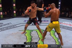 souza-weidman_actumma