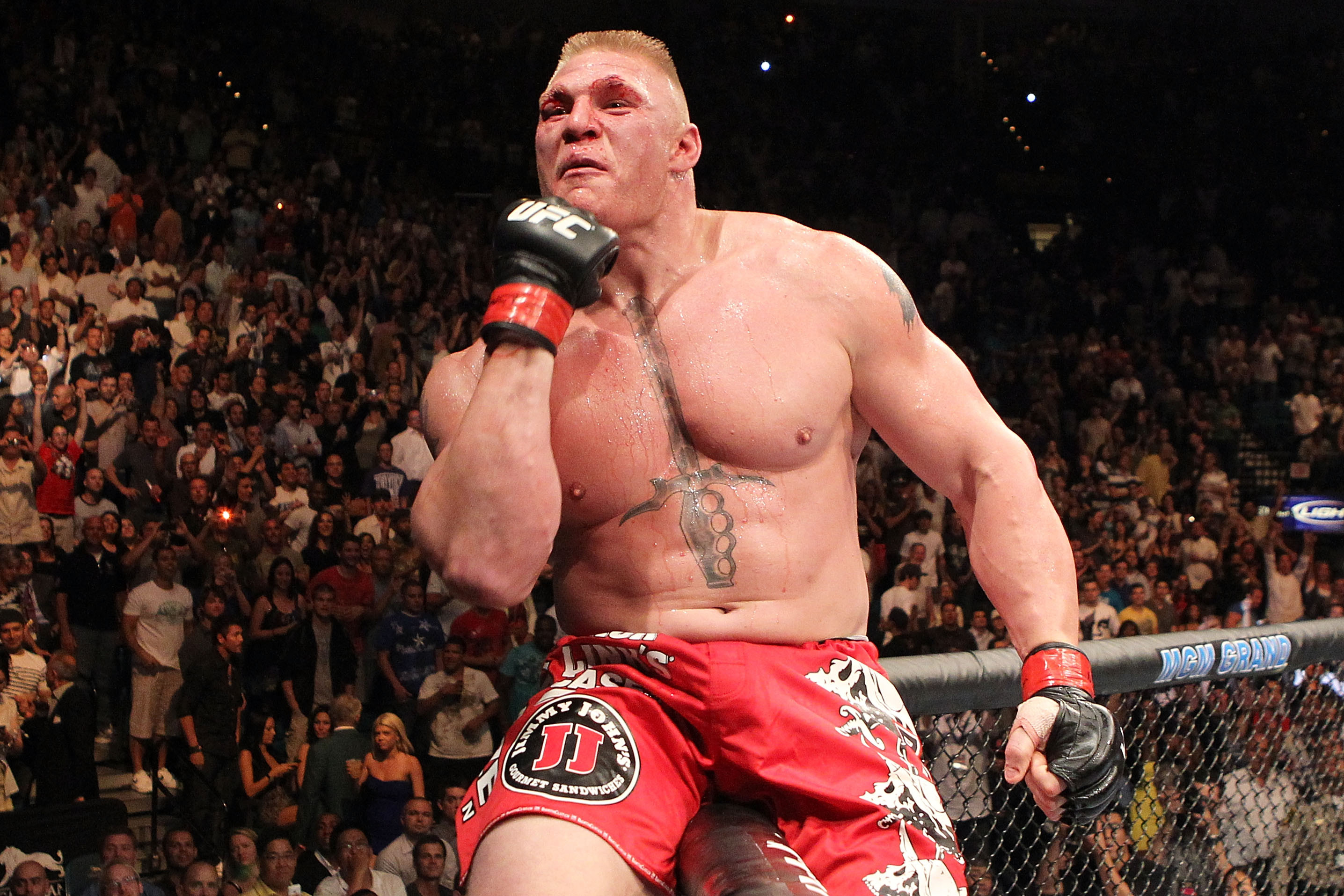 brock lesnar_actumma