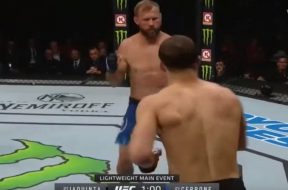 cerrone-actumma