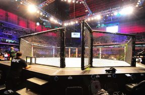 mma-cage-octagon-