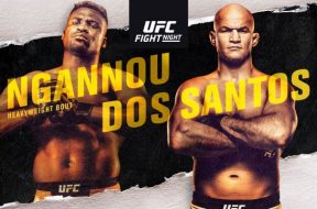 ufc-minneapolis-ngannou-vs-dos-santos-présentation