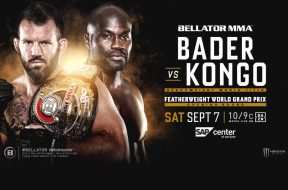 cheick-kongo-bader