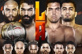 Bellator-228-affiche