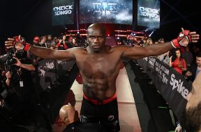 Cheick-Kongo-meilleur-poids-lourd-du-monde-bellator