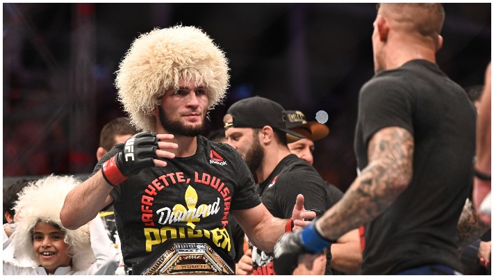 khabib-ufc242-win