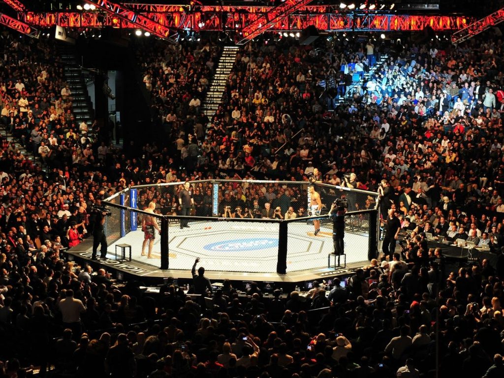 UFC-Octogone-MMA-France