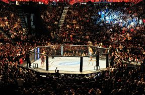 UFC-Octogone-MMA-France