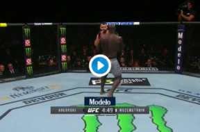 Rozenstruik-arlovski-ko-ufc-244